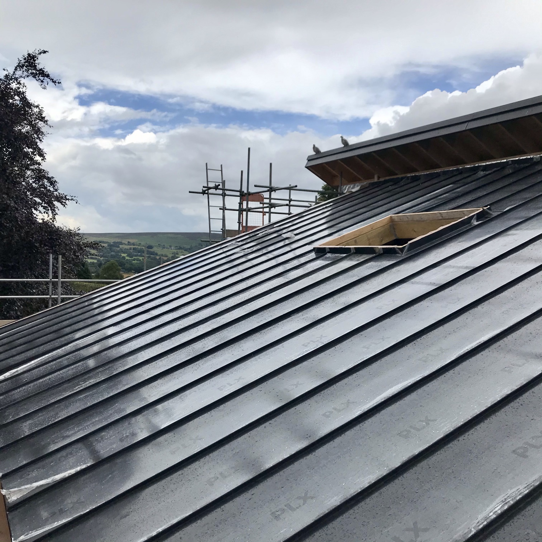 View over zinc roof of Plot 4