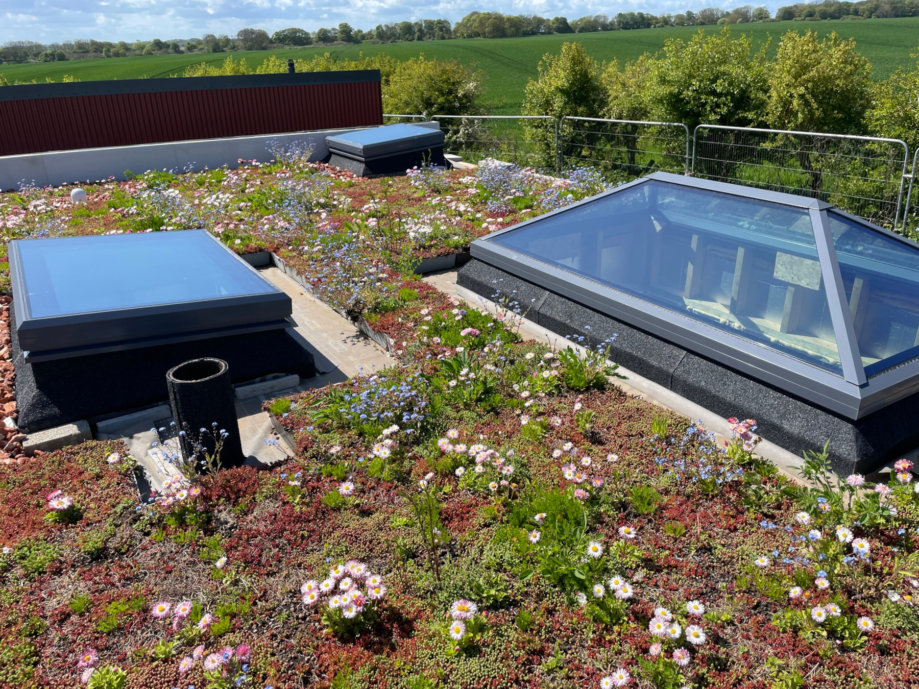 Green roof on top of Reservoir